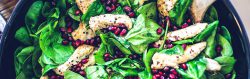 personalised nutrition